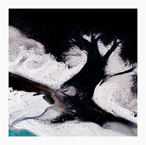Les Walkling - Downcast eyes 2013