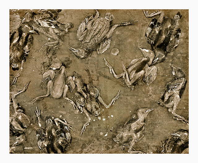 Les Walkling - The birds 1980