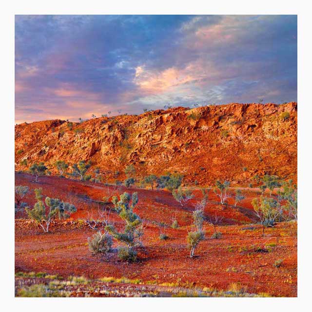 Les Walkling - The walls of a world rediscovered 2010